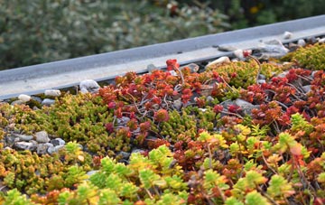 the cost of Rumbling Bridge green roof installation