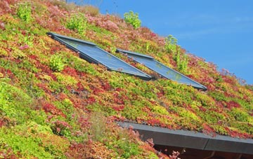 Rumbling Bridge living roof systems